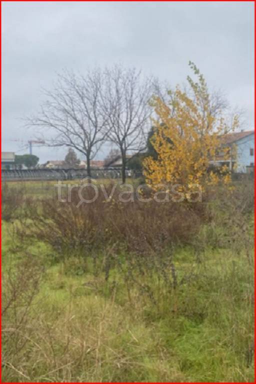 immagine annuncio 5 di 11