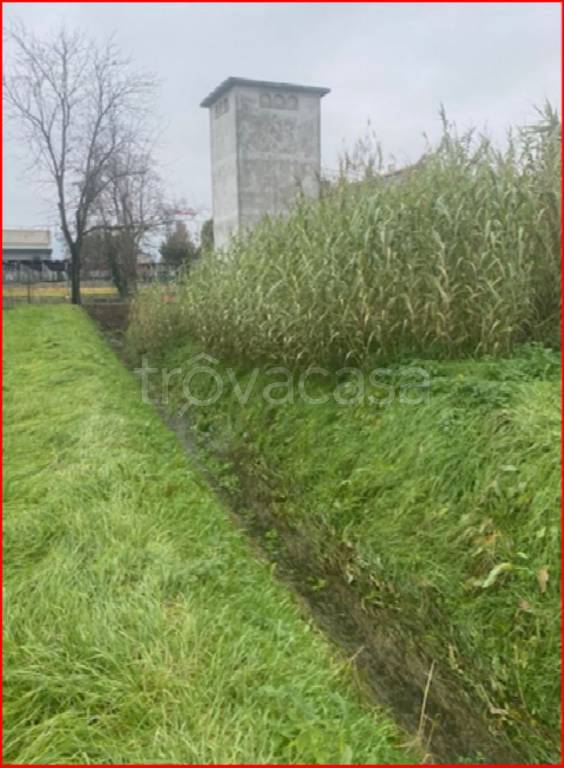 immagine annuncio 7 di 11