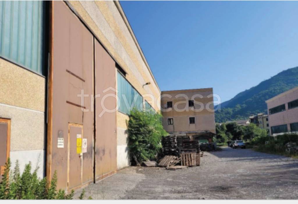 immagine annuncio 4 di 10