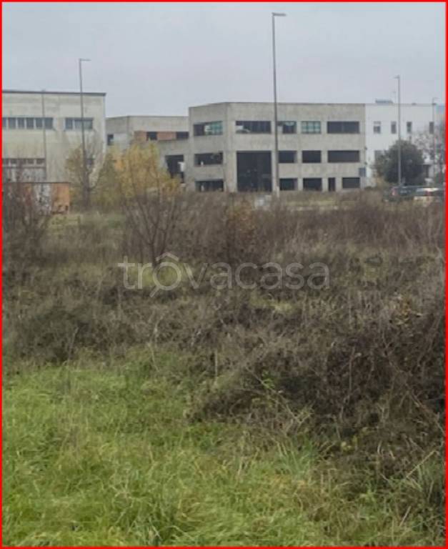 immagine annuncio 8 di 11