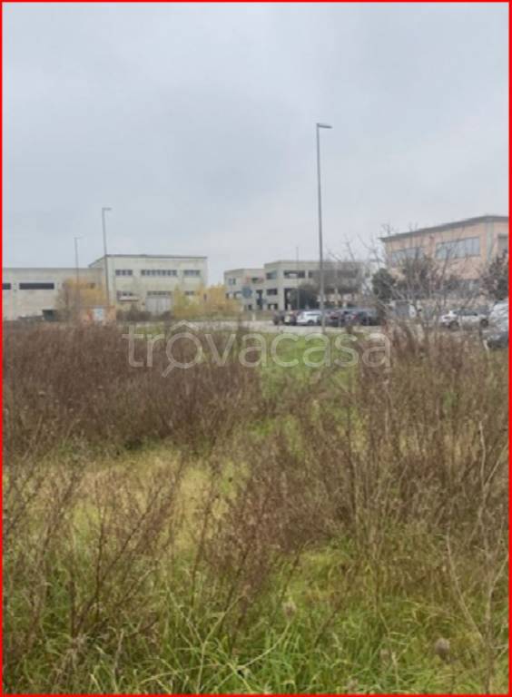 immagine annuncio 9 di 11