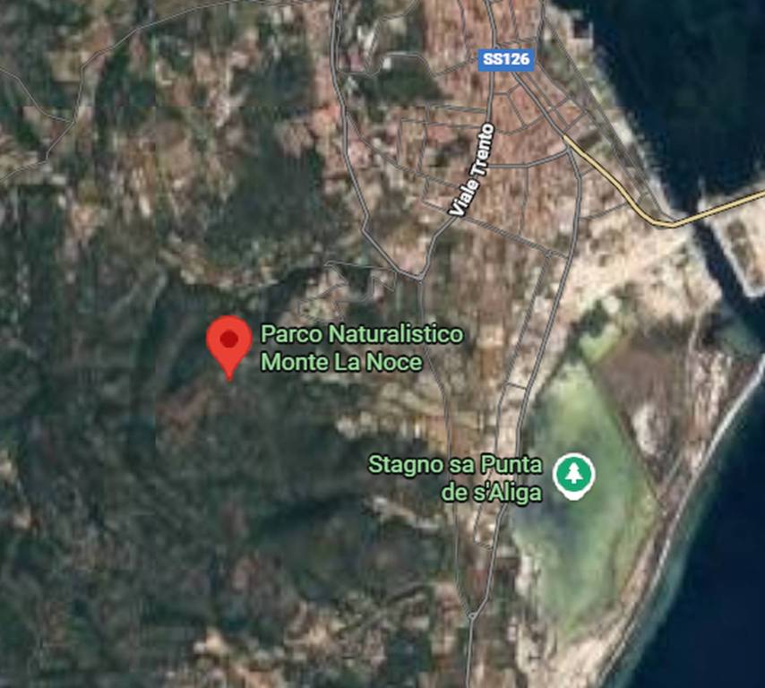 immagine annuncio 7 di 9