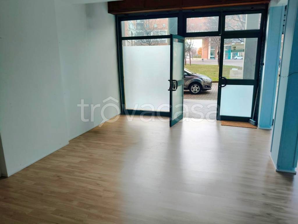 immagine annuncio 5 di 11