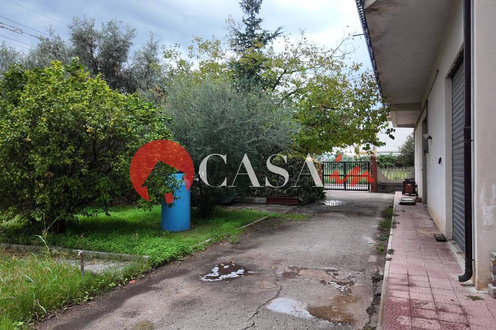 immagine annuncio 13 di 14