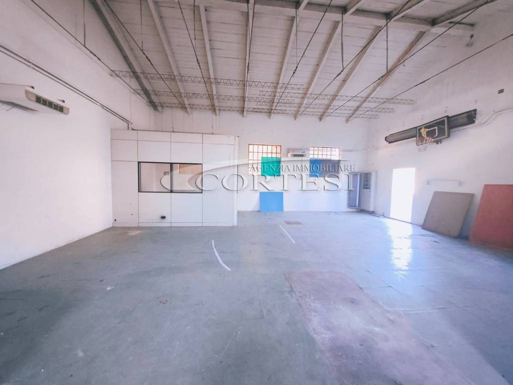 immagine annuncio 2 di 13