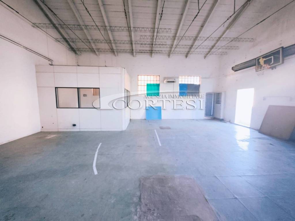 immagine annuncio 4 di 13