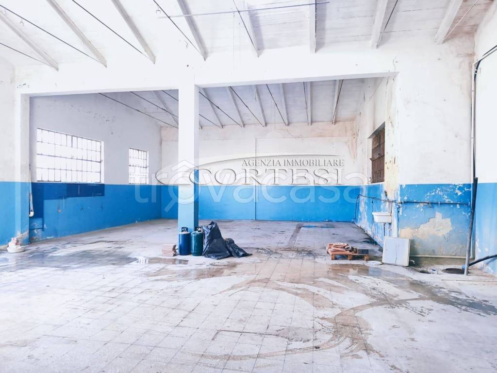 immagine annuncio 5 di 13