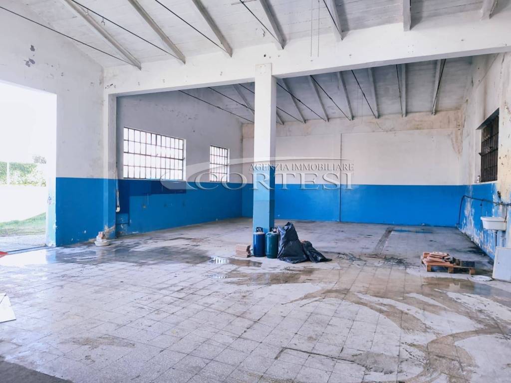 immagine annuncio 6 di 13