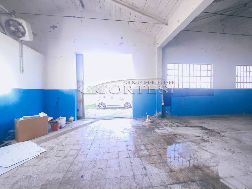 immagine annuncio 7 di 13