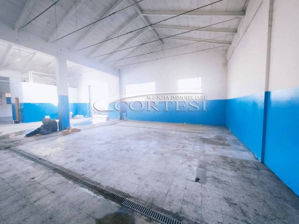 immagine annuncio 8 di 13