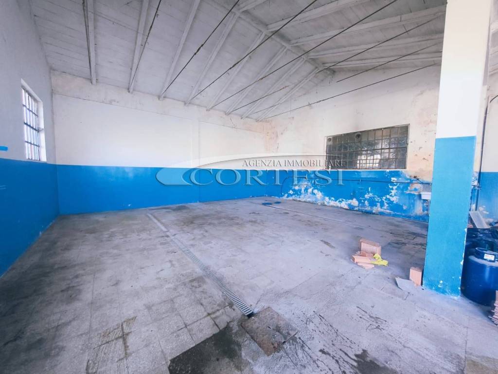 immagine annuncio 10 di 13