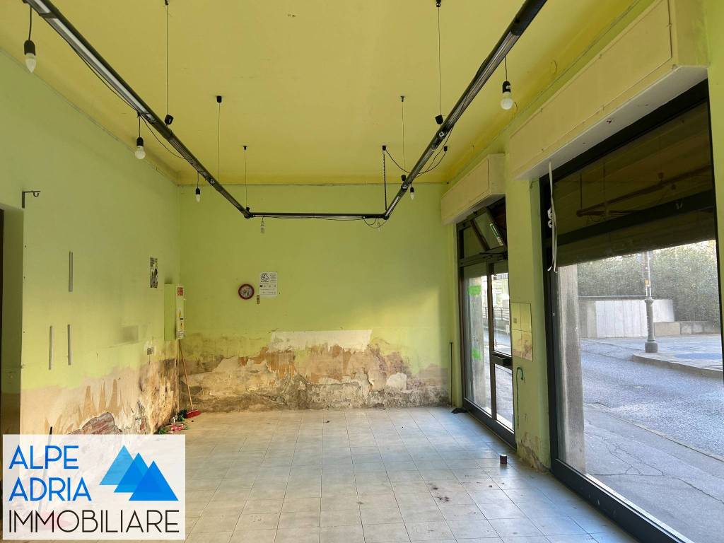 immagine annuncio 2 di 6