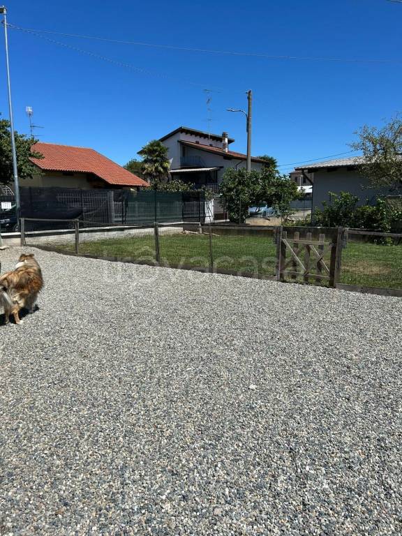 immagine annuncio 4 di 15