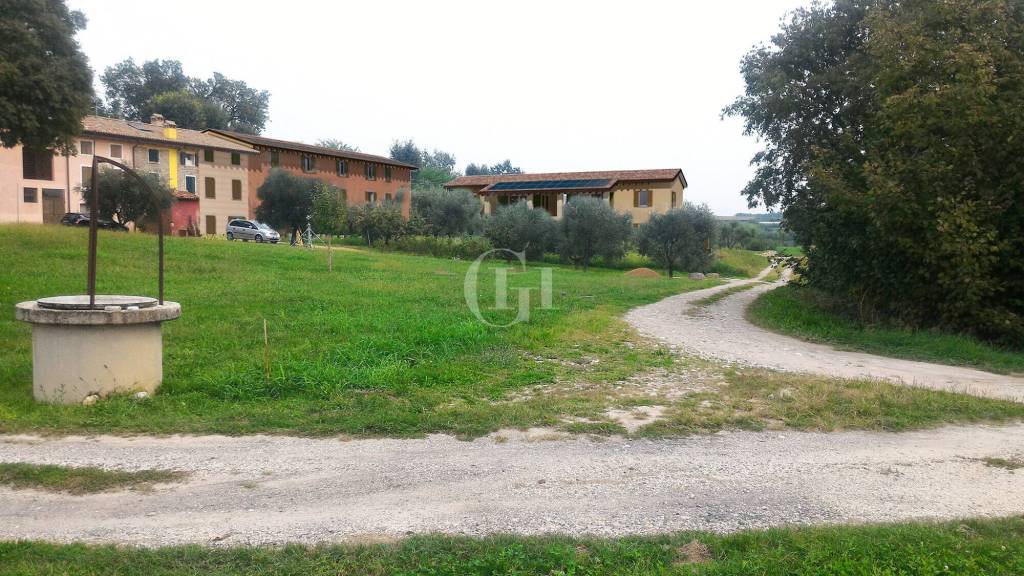 immagine annuncio 2 di 12