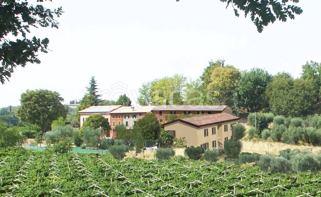 immagine annuncio 4 di 12