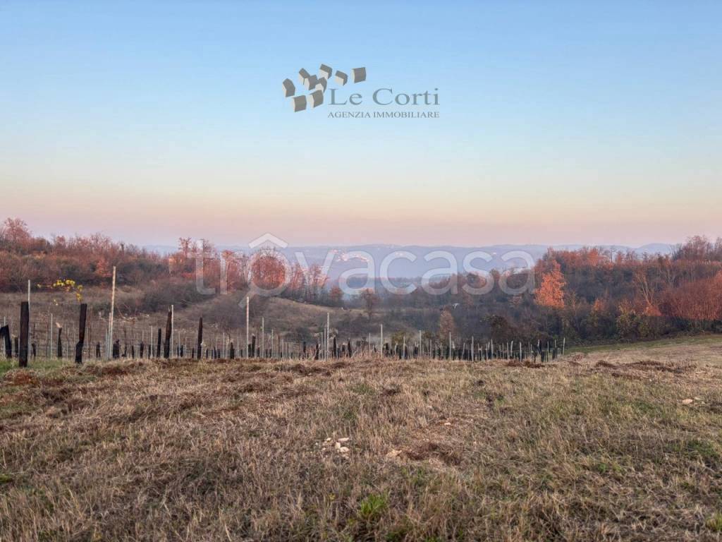 immagine annuncio 4 di 9