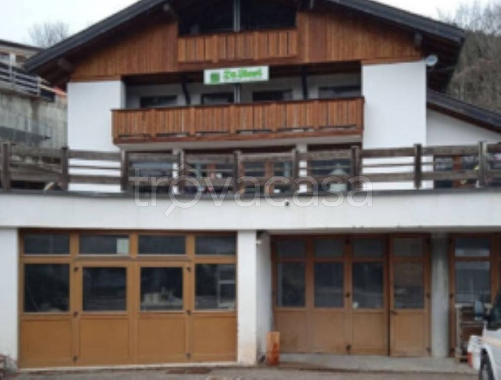 immagine annuncio 1 di 11