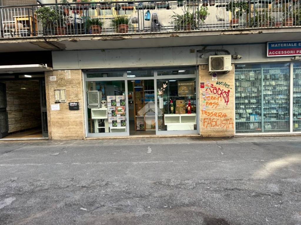 immagine annuncio 10 di 12