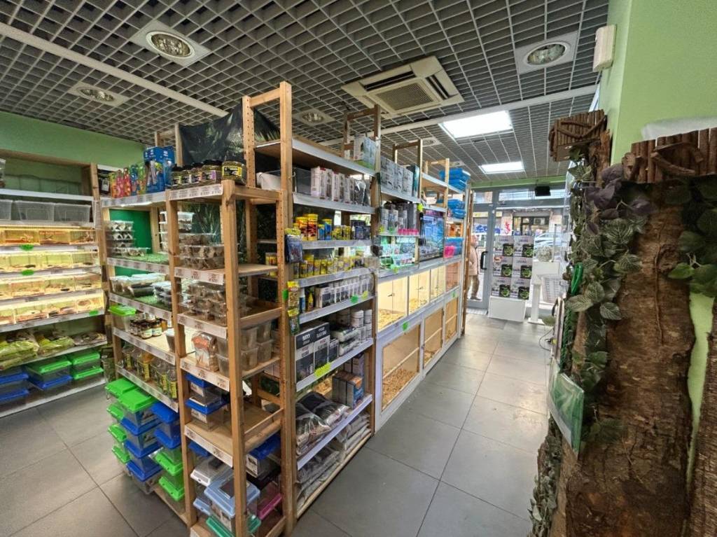 immagine annuncio 9 di 12