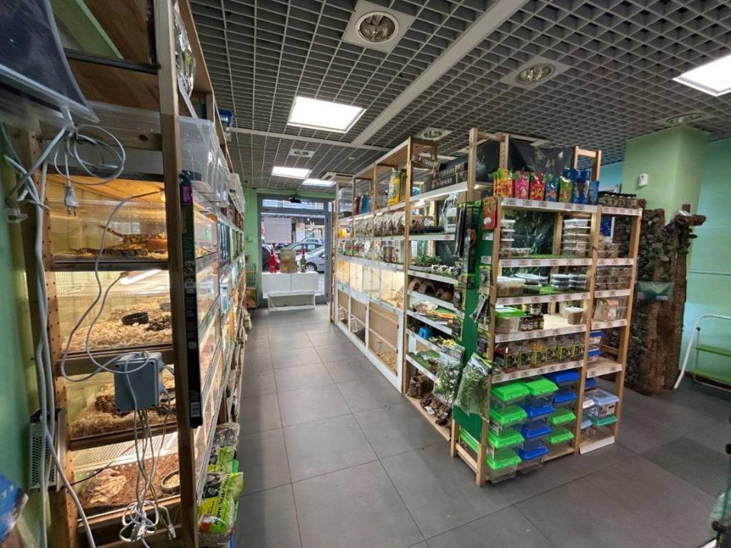 immagine annuncio 8 di 12