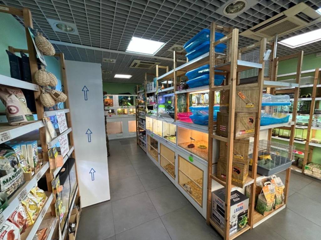 immagine annuncio 7 di 12