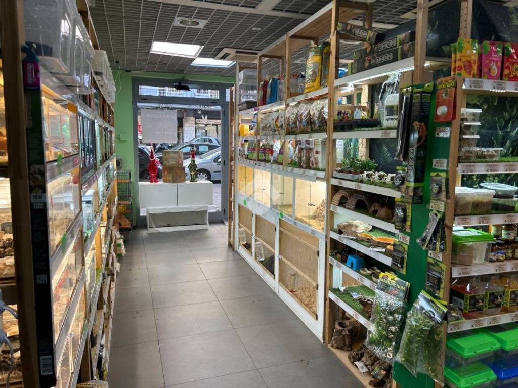 immagine annuncio 6 di 12