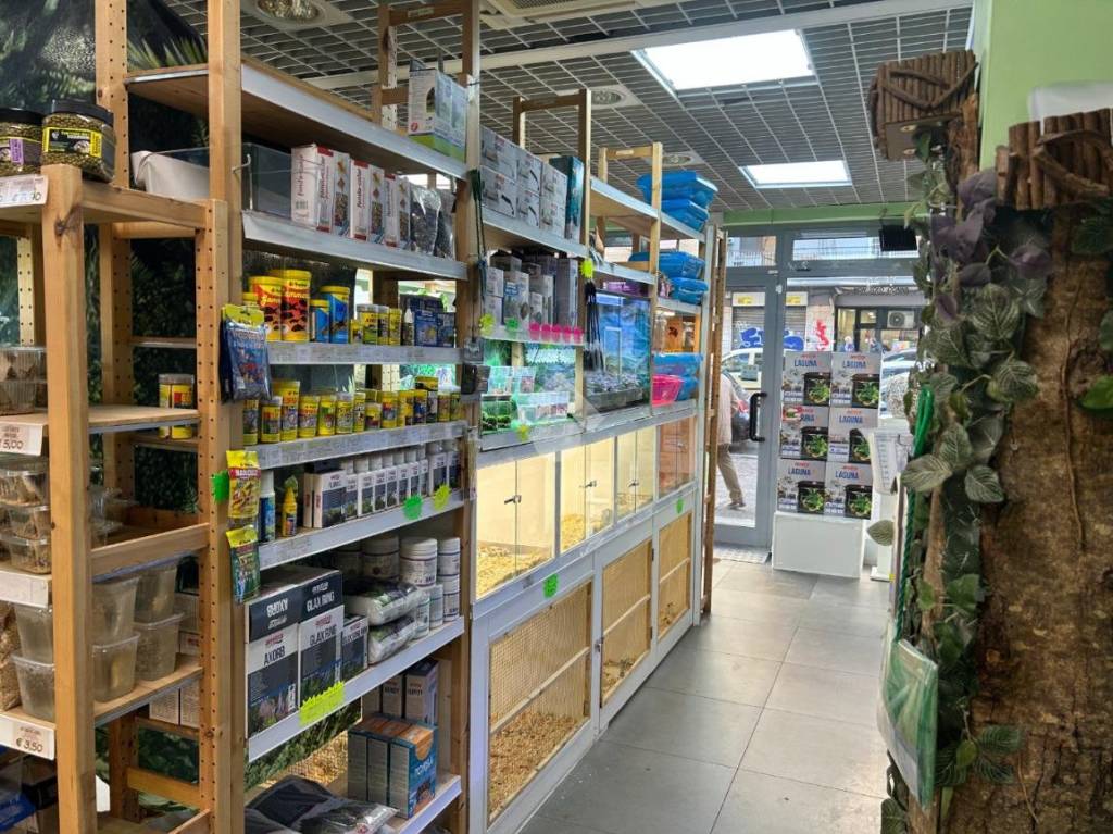 immagine annuncio 5 di 12