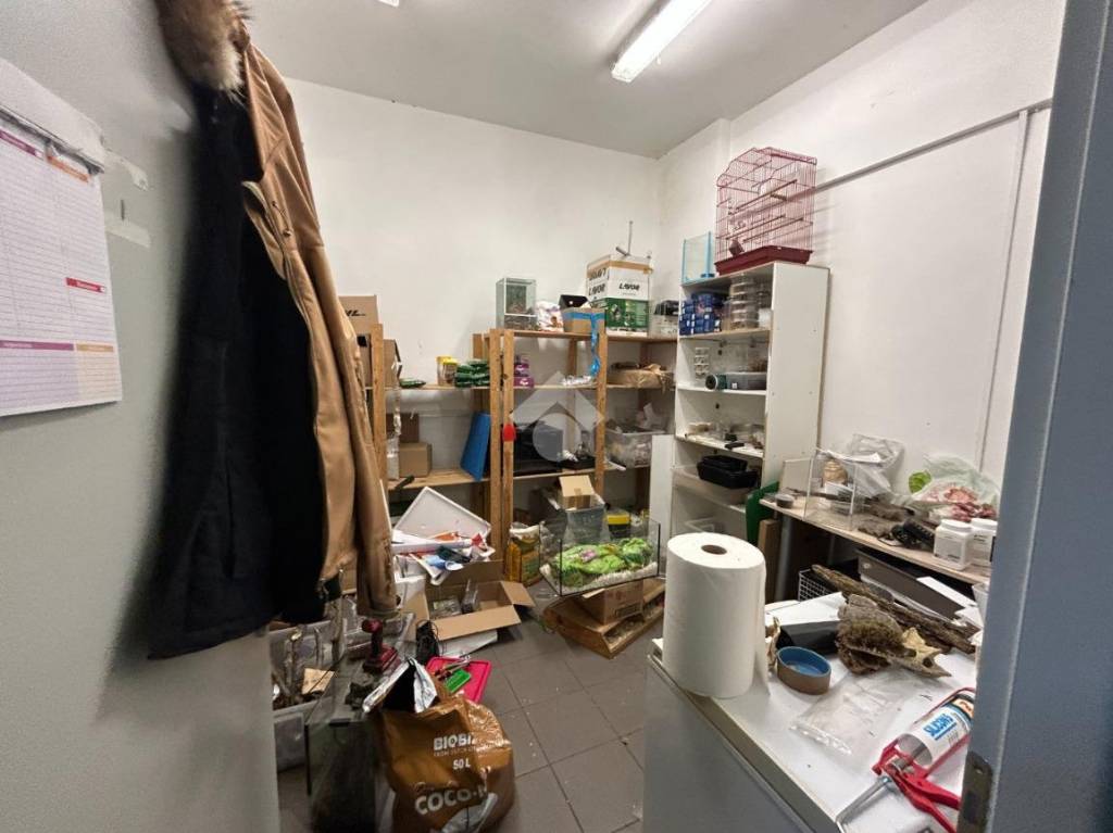 immagine annuncio 4 di 12