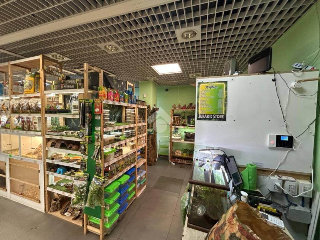 immagine annuncio 3 di 12