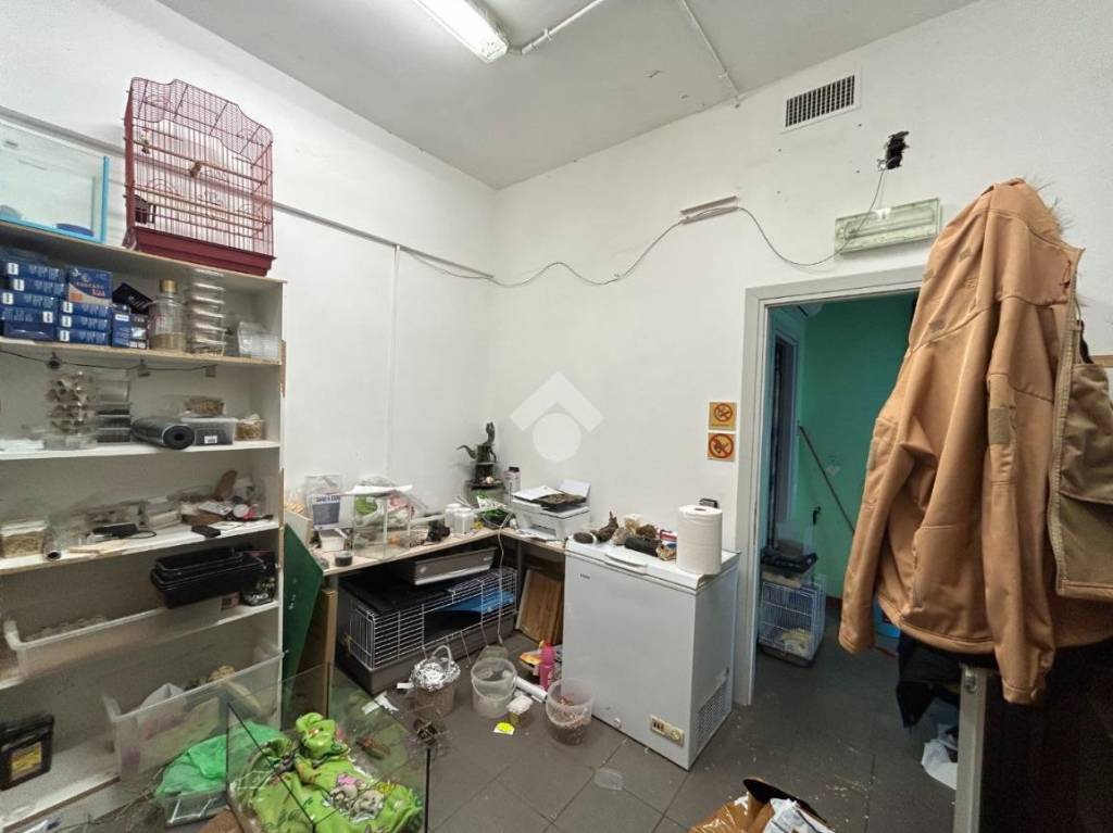 immagine annuncio 2 di 12