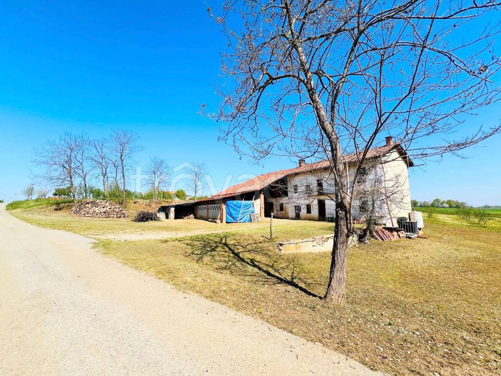 immagine annuncio 11 di 14