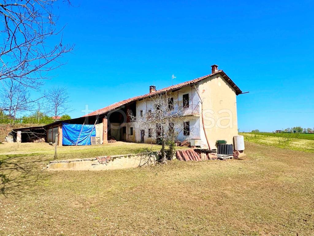 immagine annuncio 6 di 14