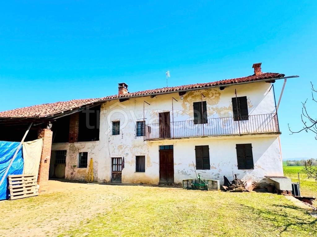 immagine annuncio 10 di 14