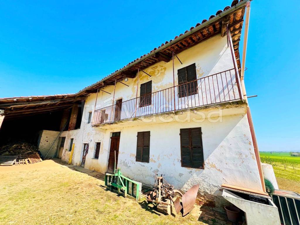 immagine annuncio 12 di 14