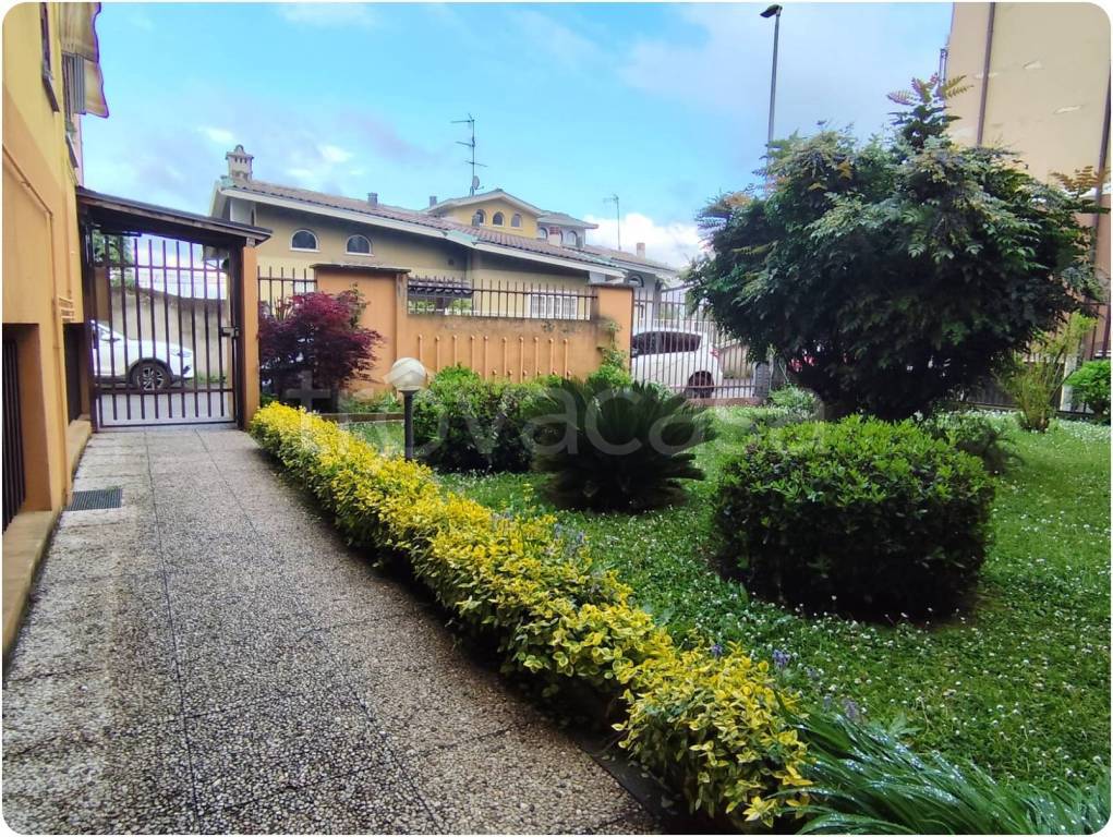 immagine annuncio 2 di 4