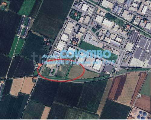 immagine annuncio 5 di 12