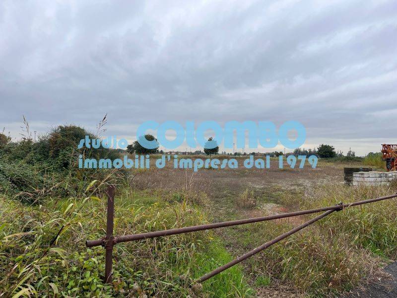 immagine annuncio 8 di 12