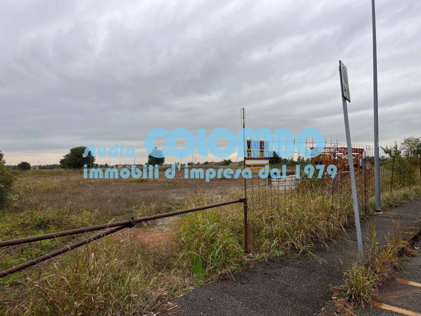 immagine annuncio 9 di 12