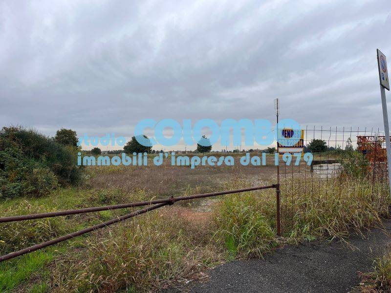 immagine annuncio 11 di 12