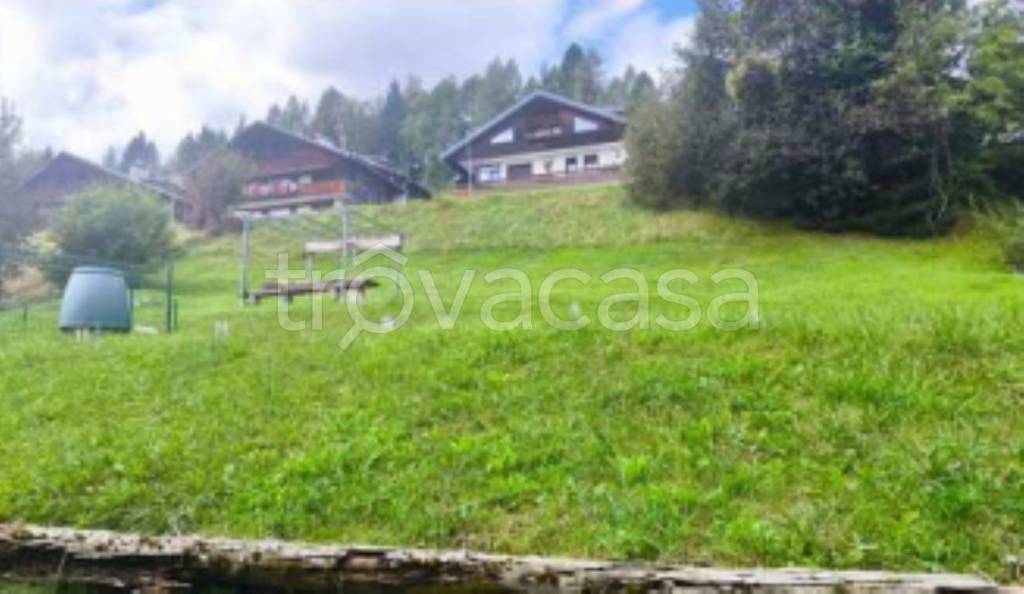 immagine annuncio 6 di 11