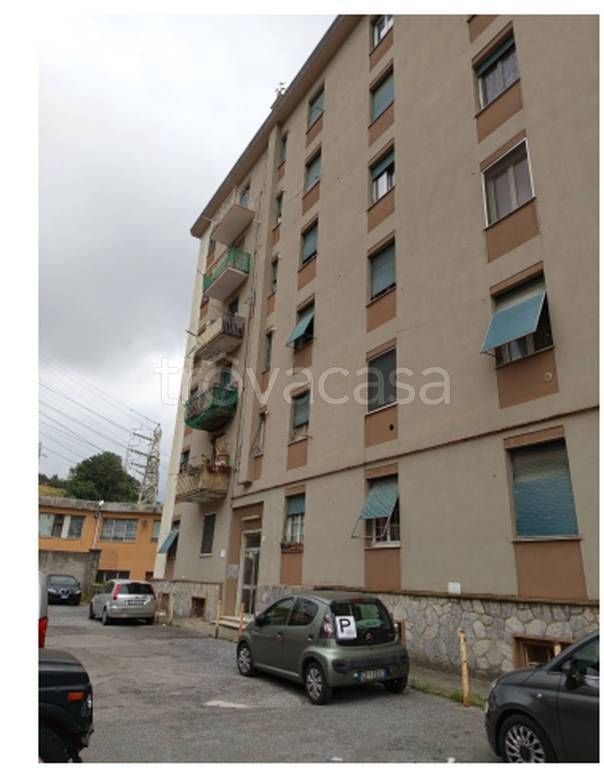 immagine annuncio 2 di 12