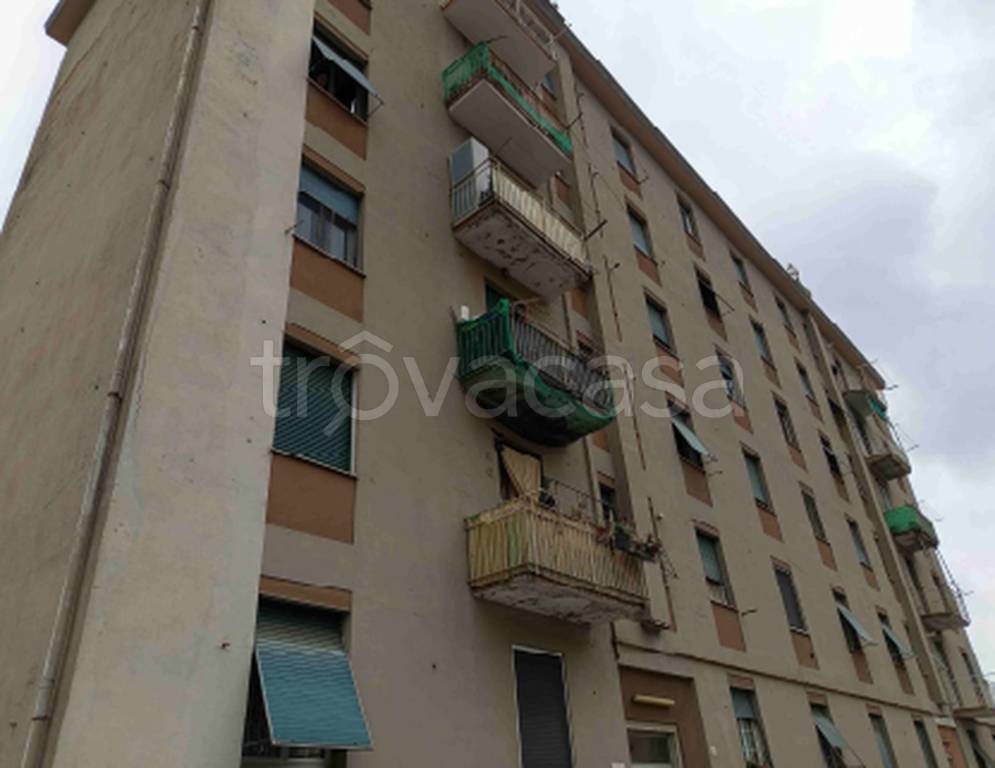 immagine annuncio 1 di 12