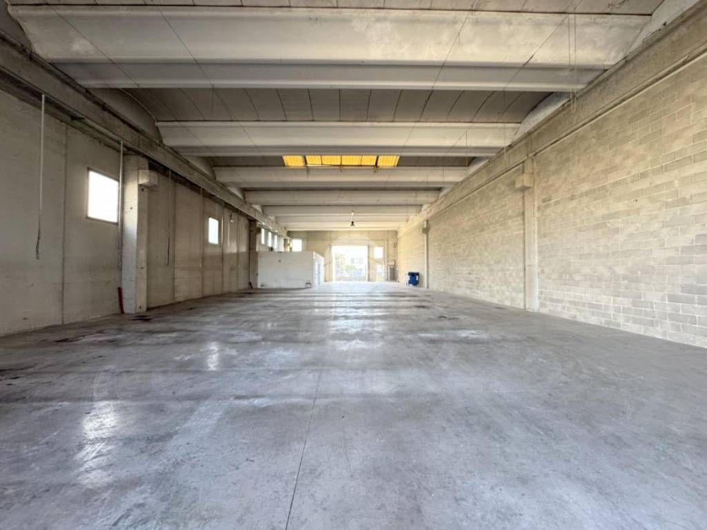 immagine annuncio 2 di 10