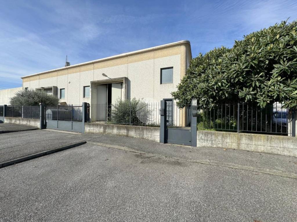 immagine annuncio 9 di 10