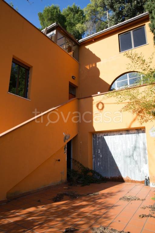 immagine annuncio 4 di 7