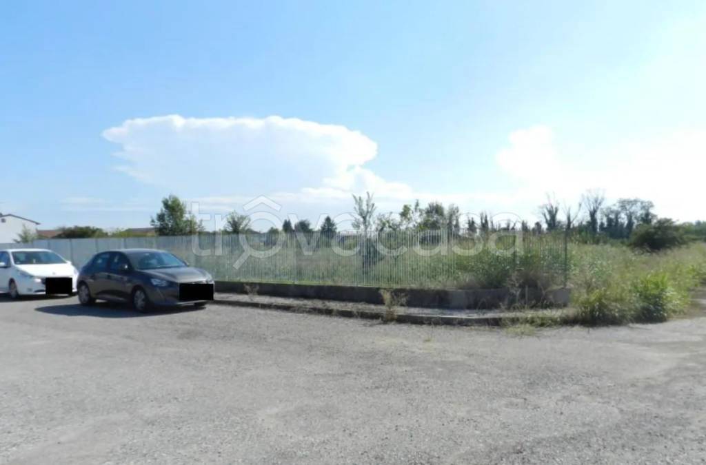 immagine annuncio 2 di 12