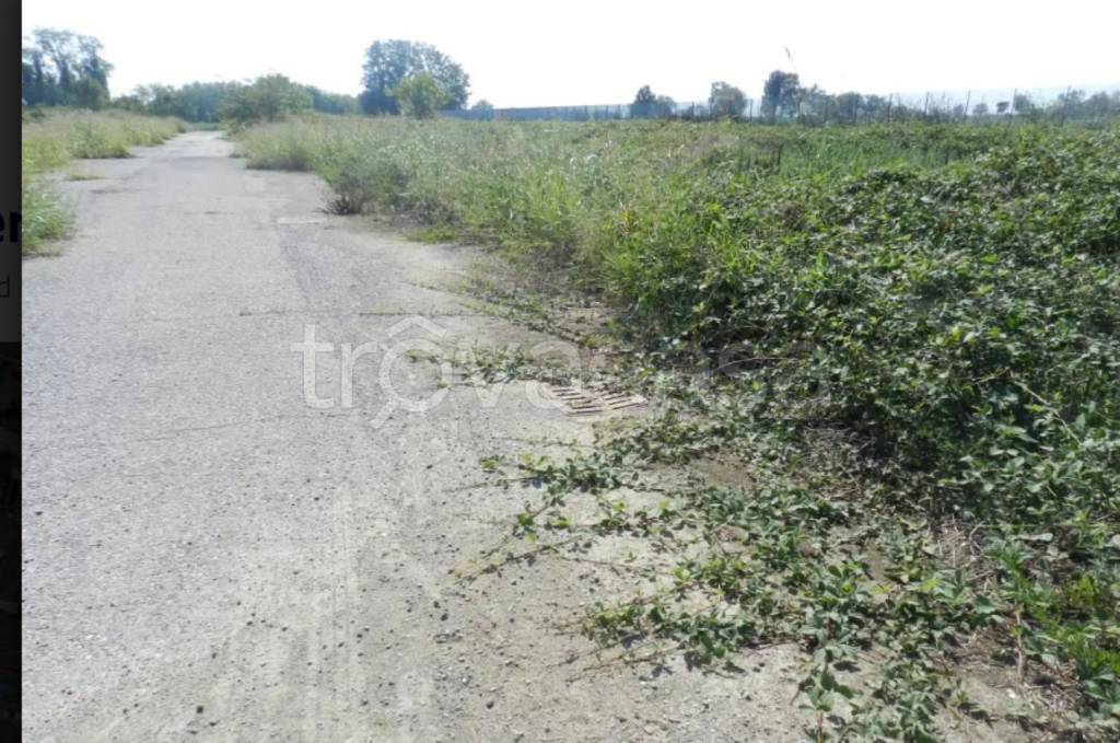 immagine annuncio 6 di 12