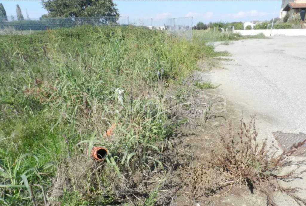 immagine annuncio 7 di 12