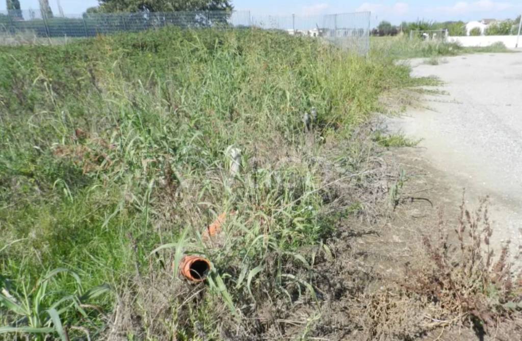 immagine annuncio 8 di 12