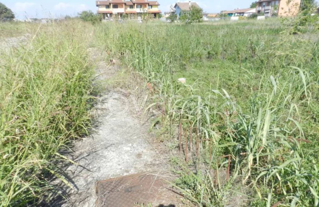 immagine annuncio 9 di 12